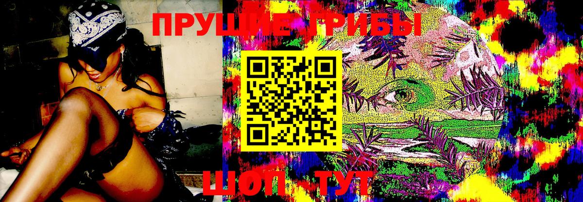 Галлюциногенные грибы мухоморы Гусев