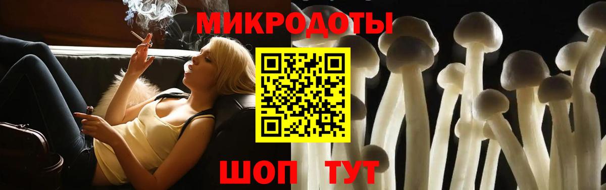 Псилоцибиновые грибы Psilocybine cubensis  Вход с VPN  Галлюциногенные грибы мухоморы  Гусев 